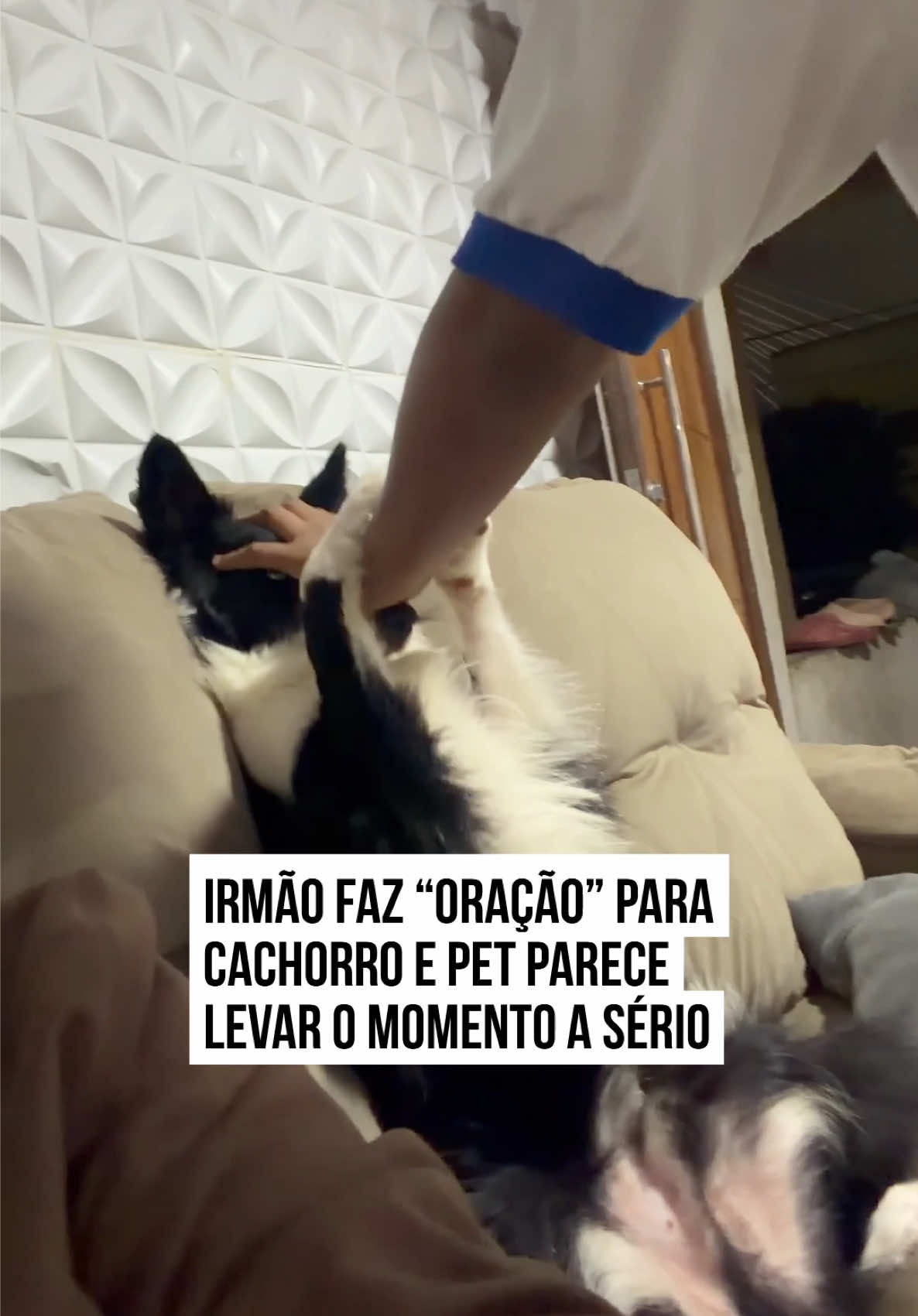 @Metrópoles Oficial