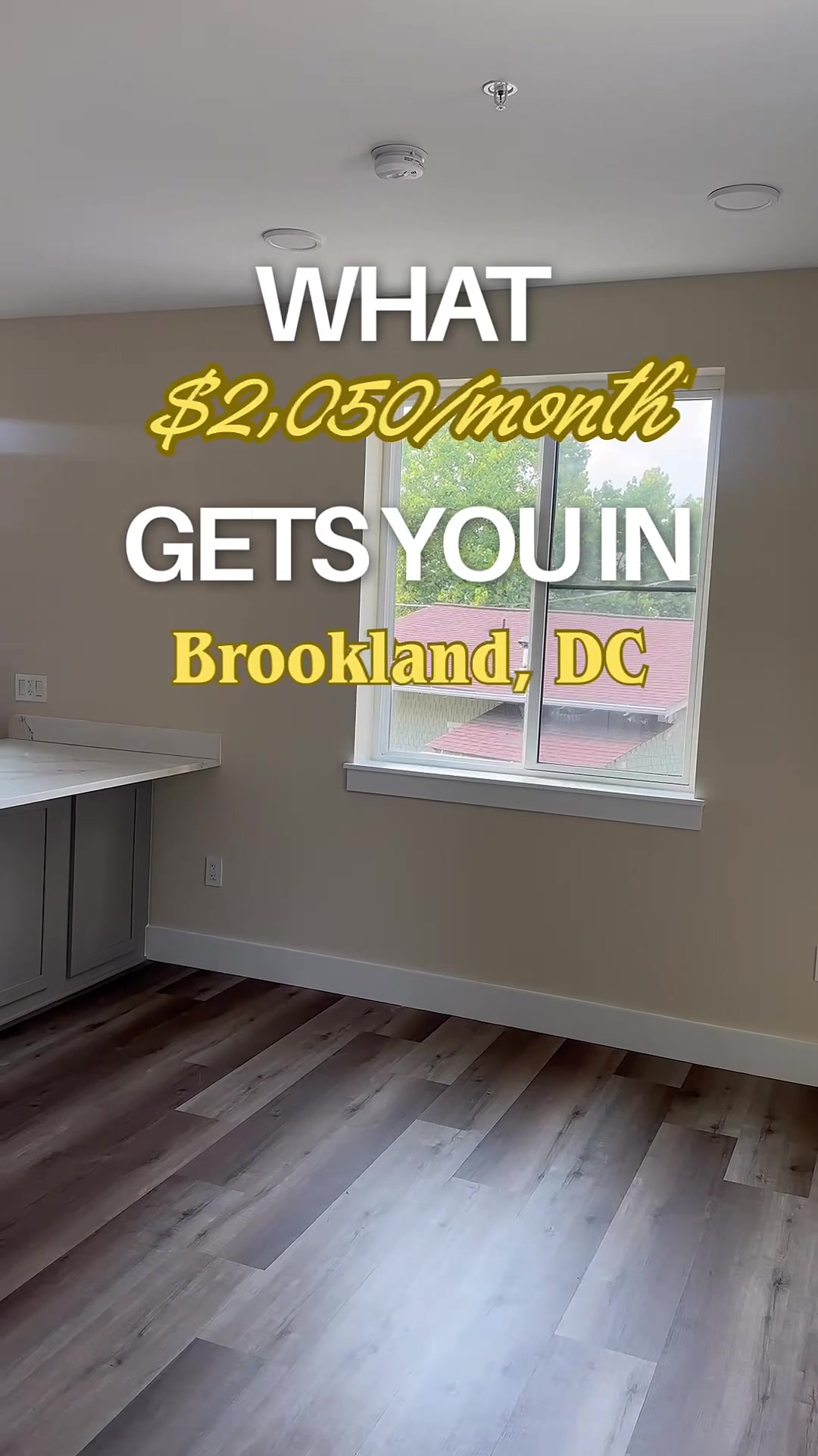 @Candess Correll, DMV REALTOR