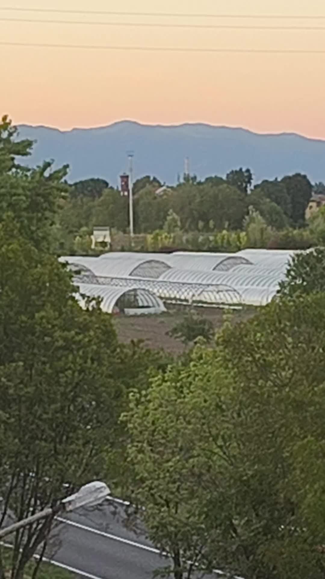 @Massimino