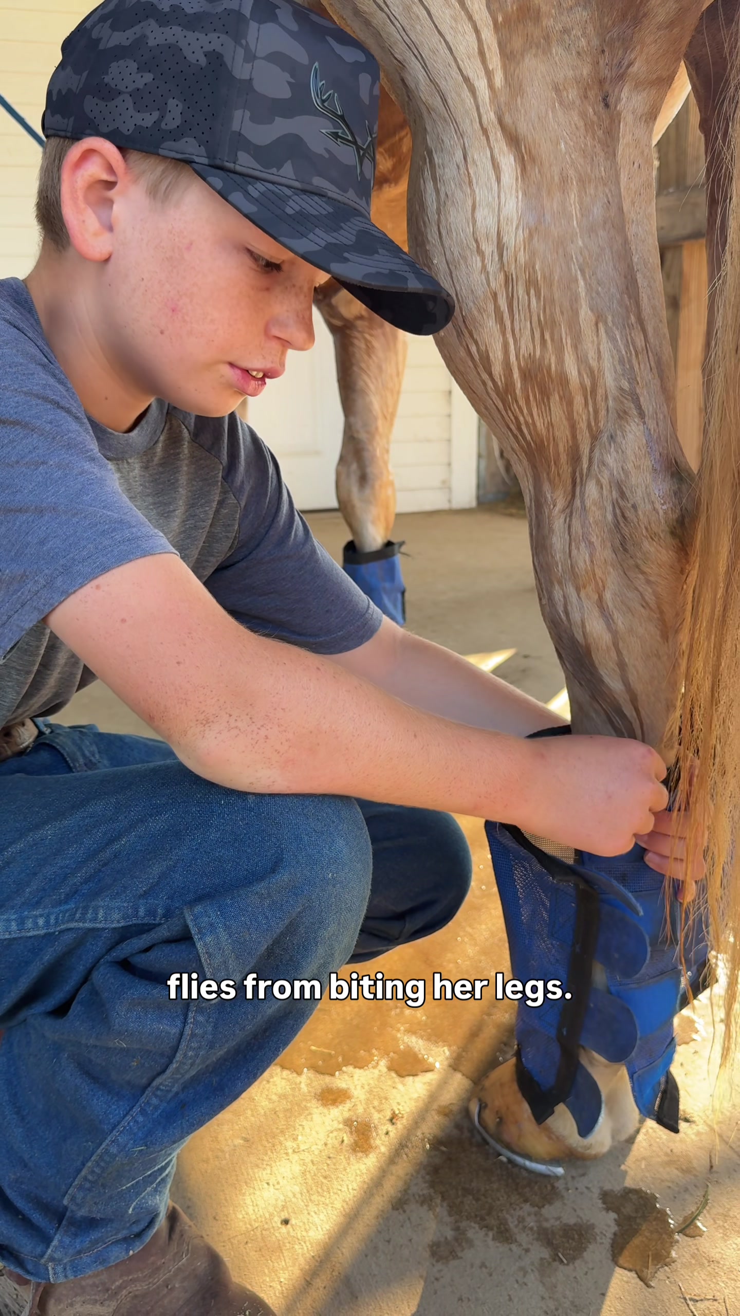 @Stuart Farmstead