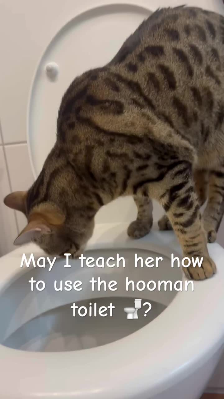 @Mirjam