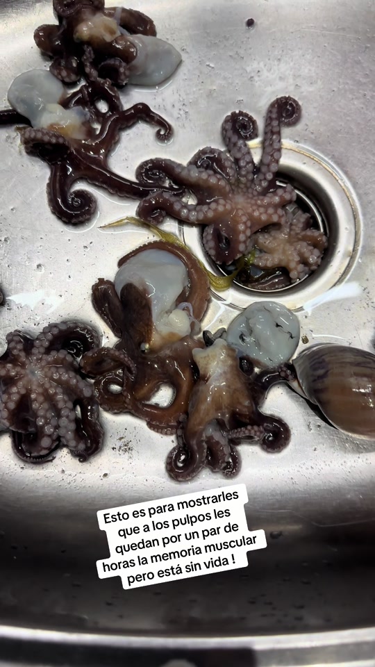 @El flaco