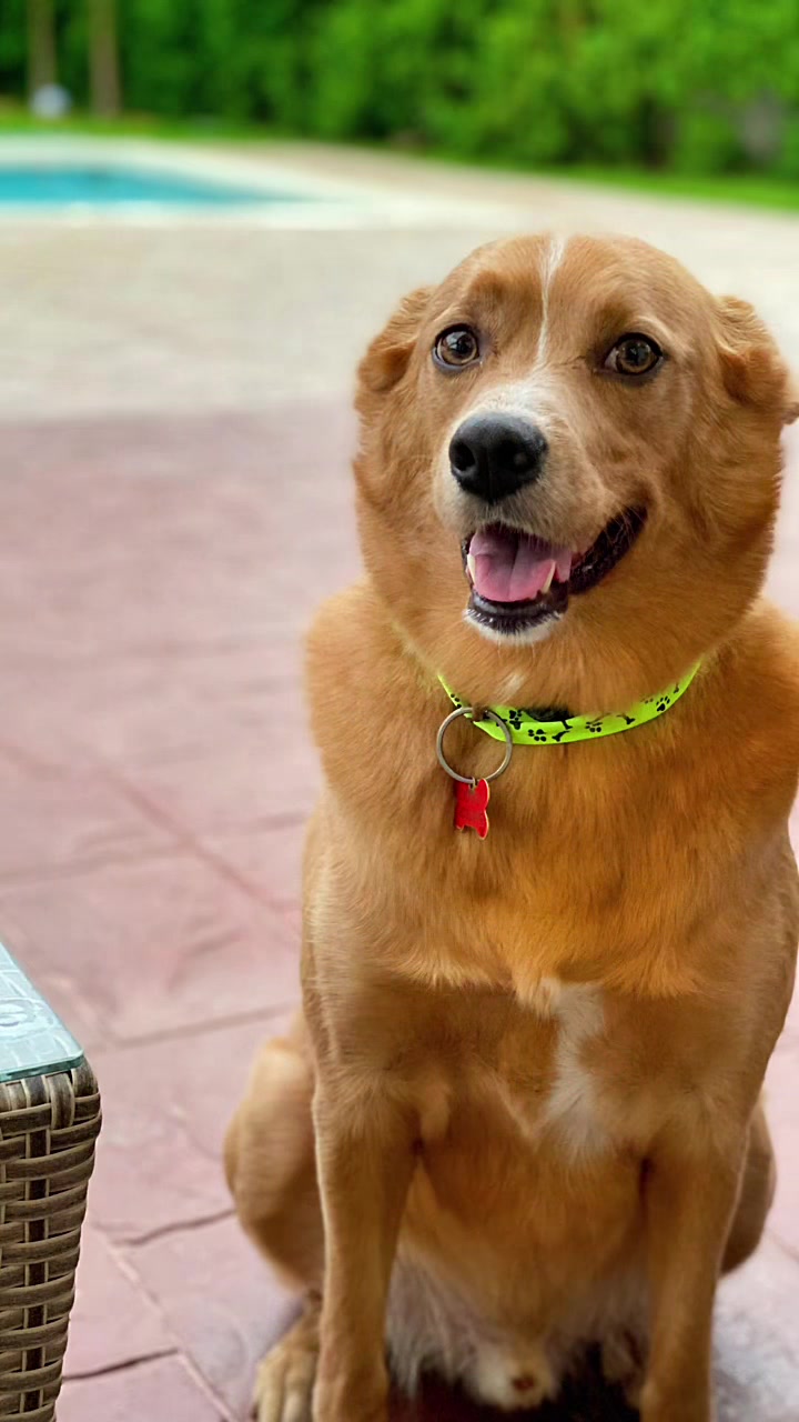 @Diario de Donny🐕 y mami👩🏻