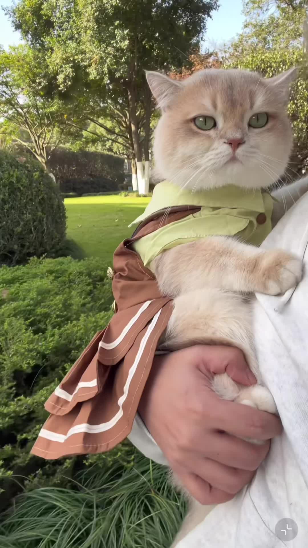 @My Daily Dose of Aww