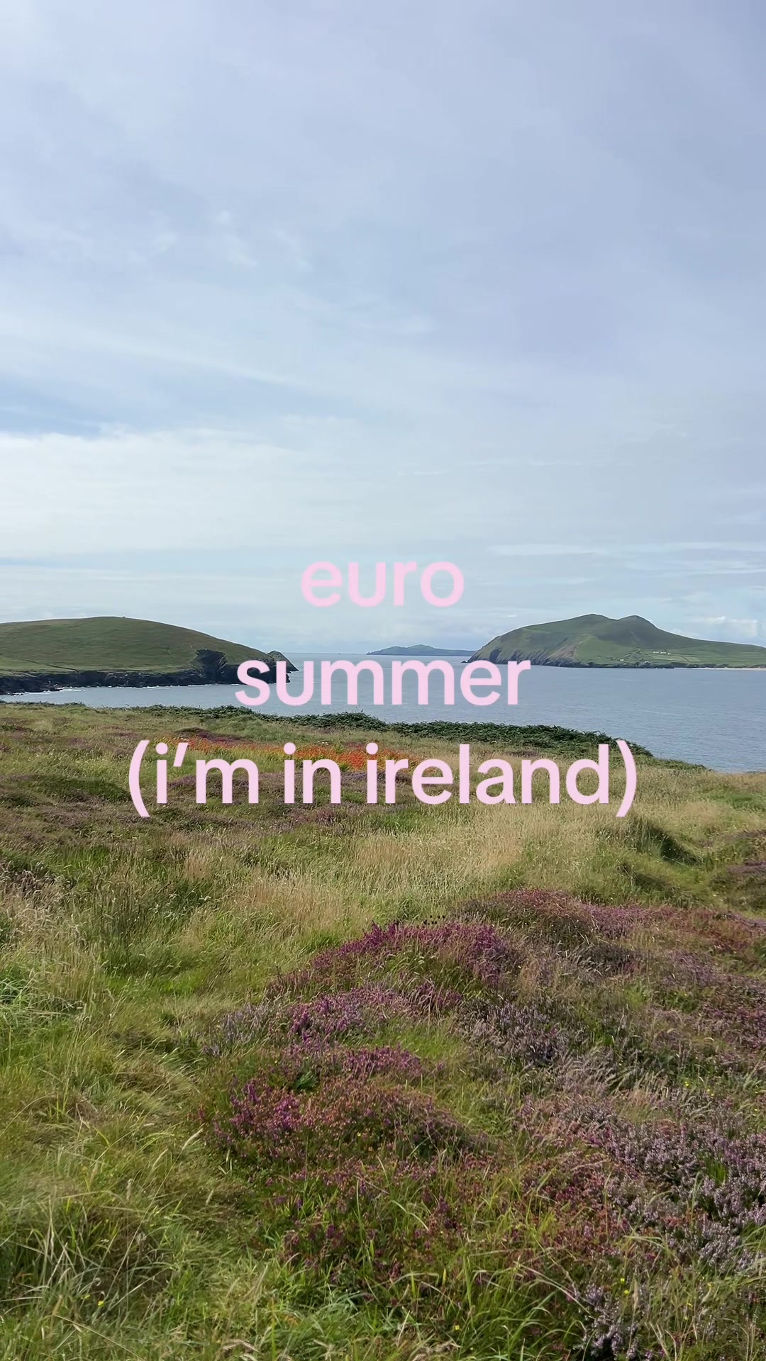 @danielle domrose