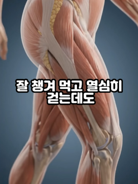@견우한의원