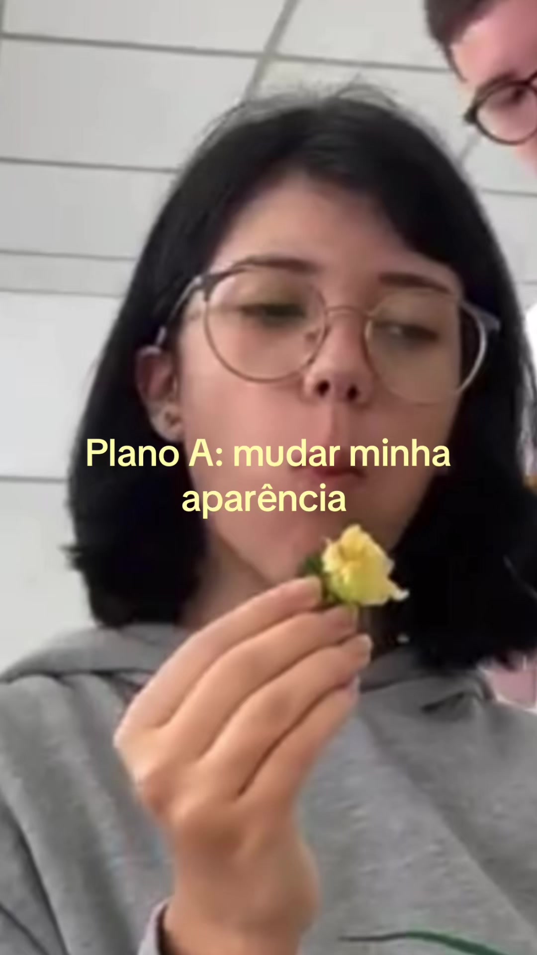 @⋆˙⟡