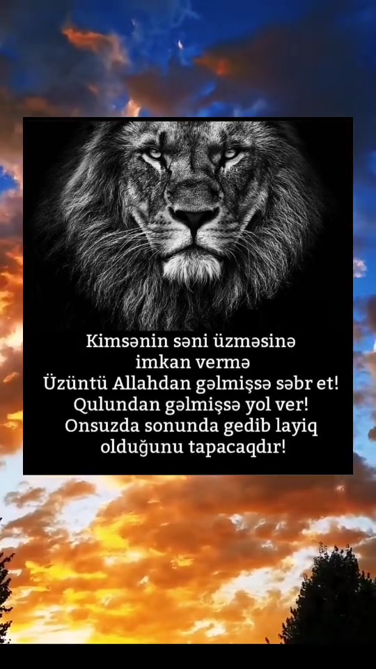 @Nur Şahgəldi