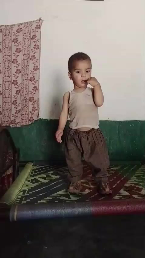 @قمرزمان شینواری ٣١٣🏏