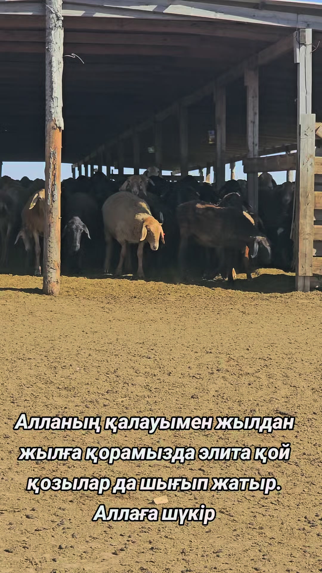 @Гани