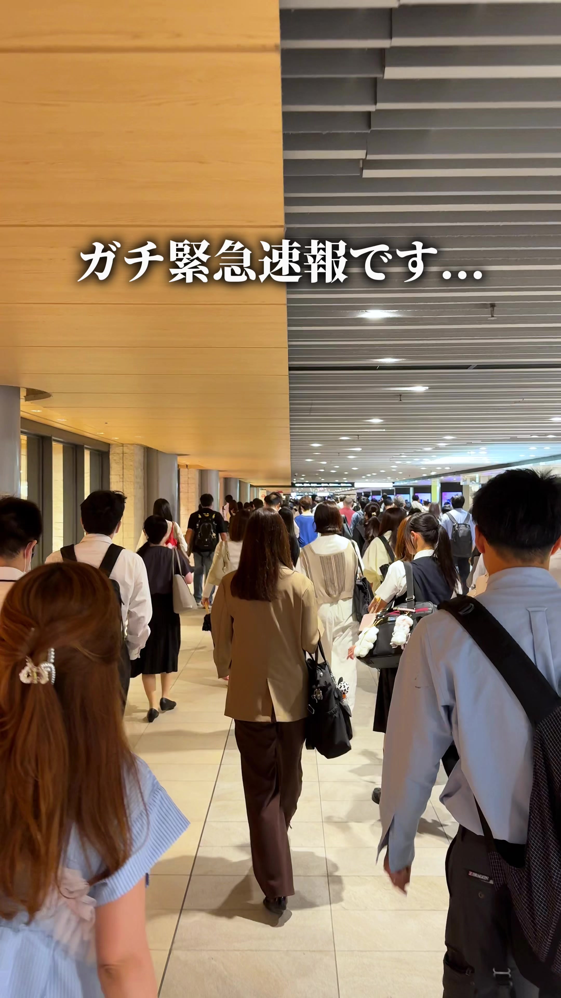 @ひろと / 大阪発!関西トレンド独占旅🔥