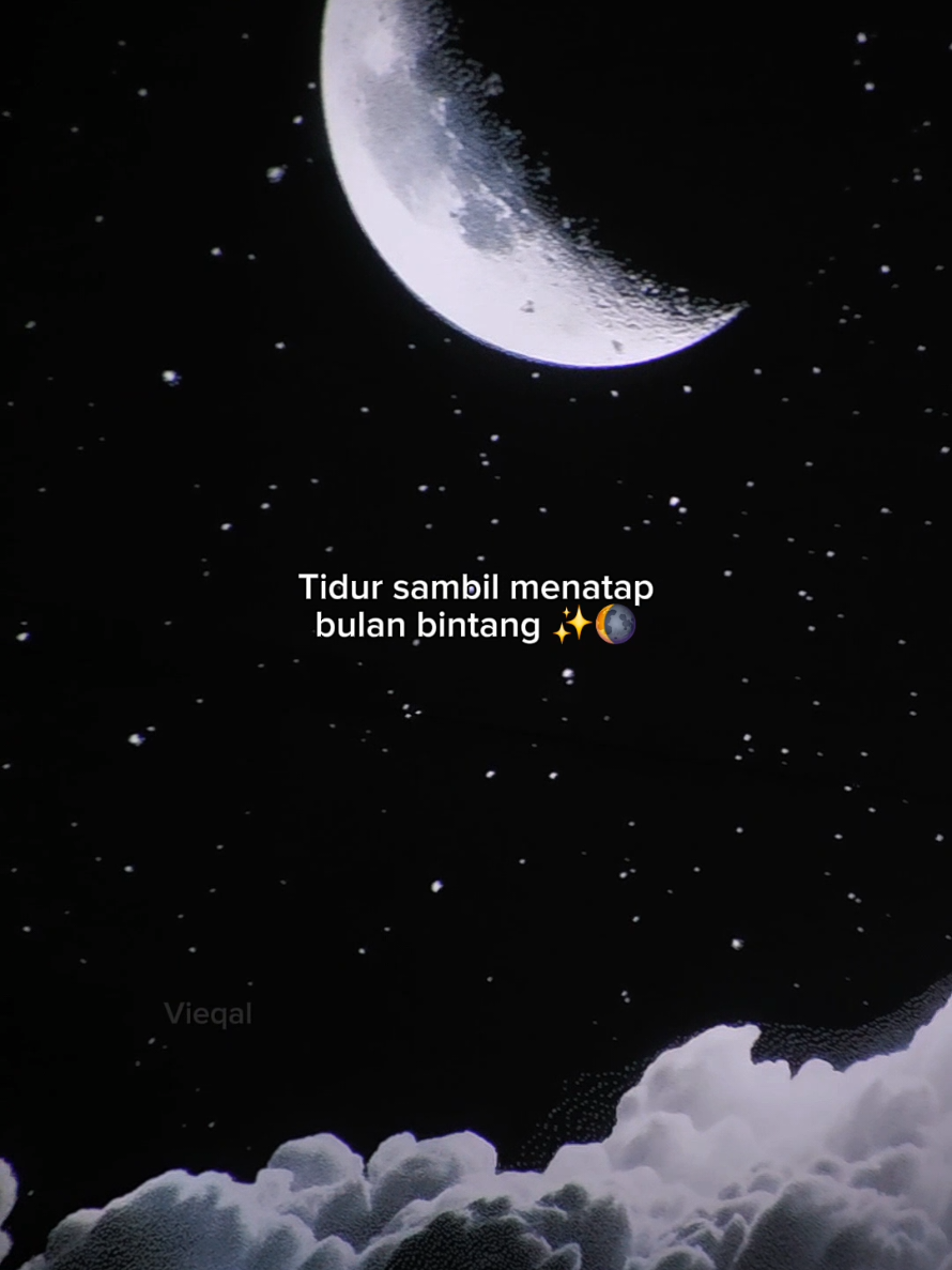 @Vieqal Asuki 🐰