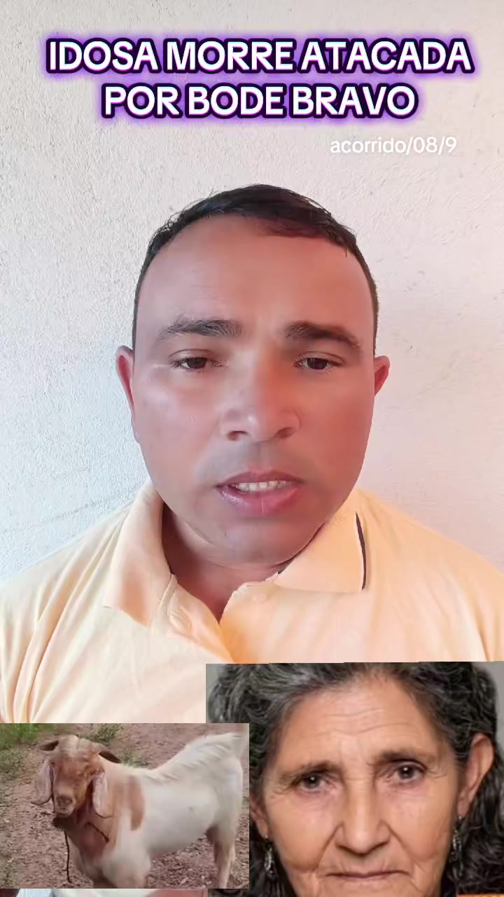 @Edivan Notícias