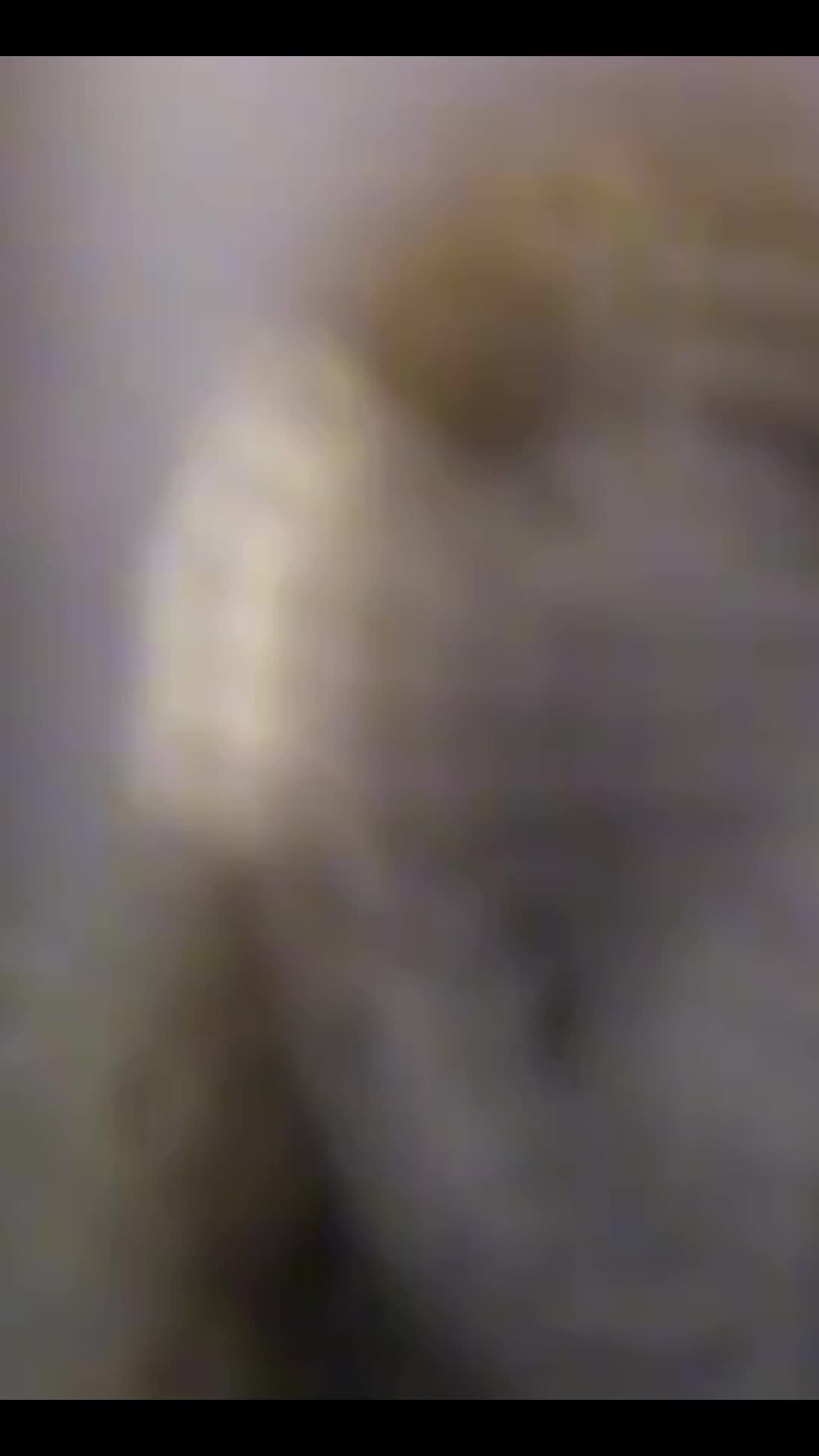 @kraken