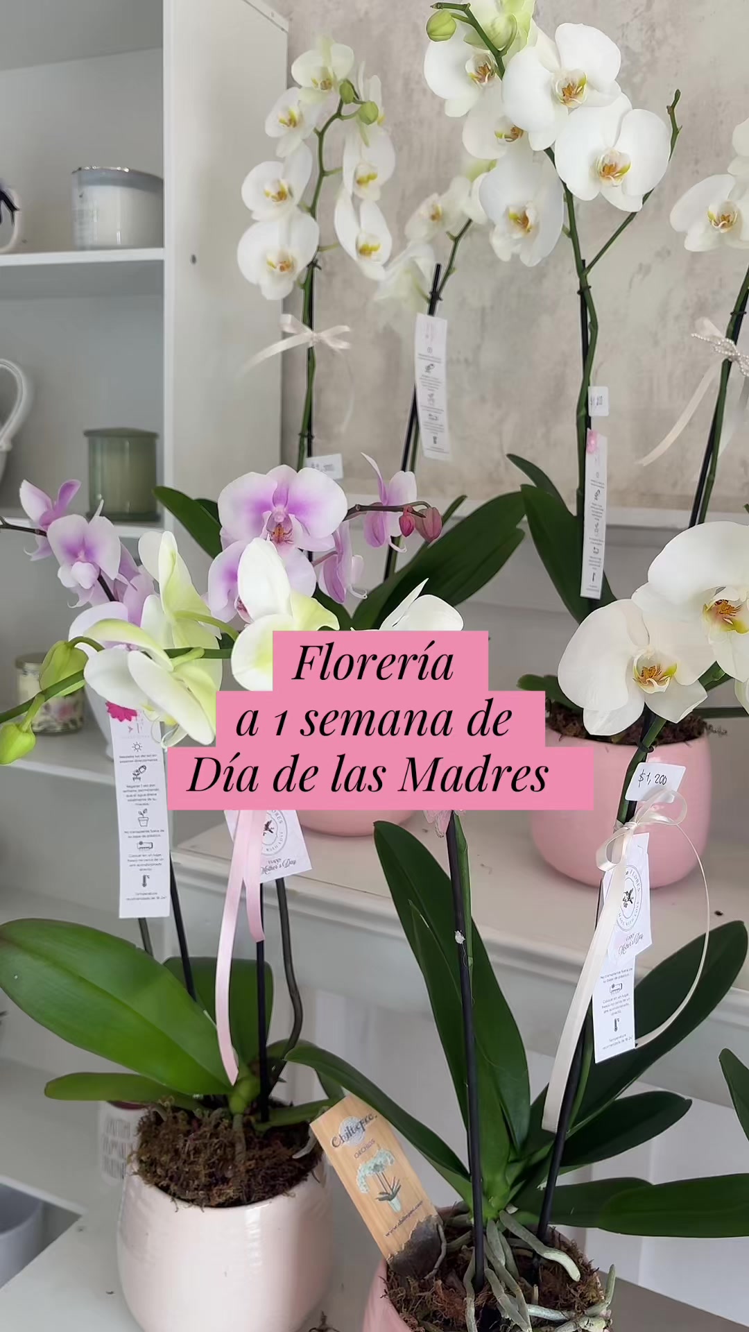@Todo en Flores Florería