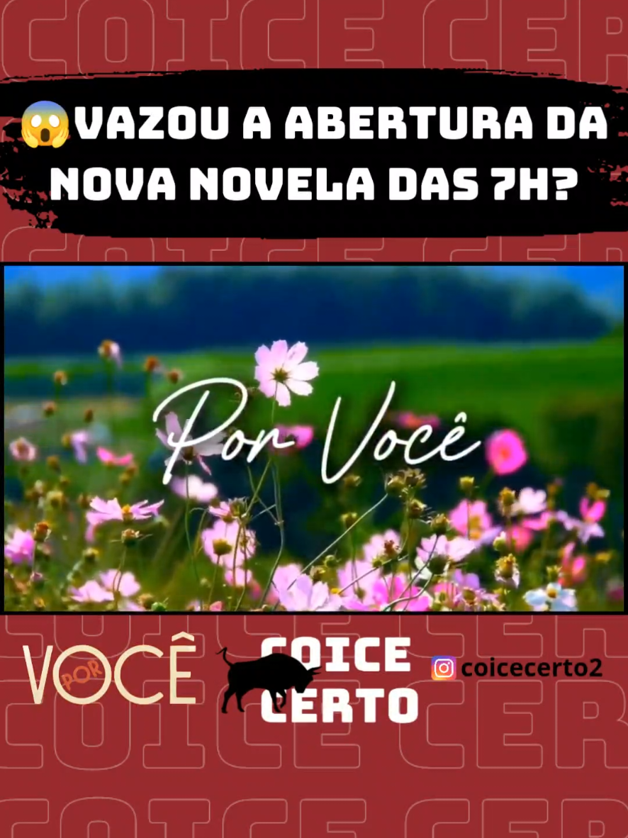 @coicecerto