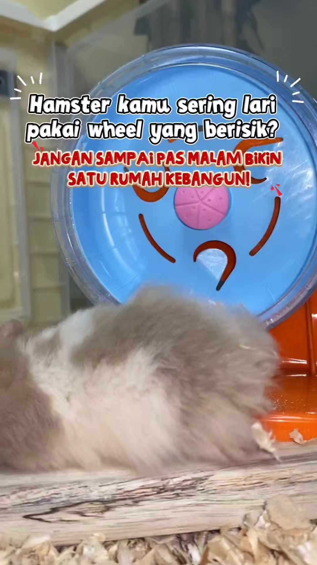 @TamaGo Pet
