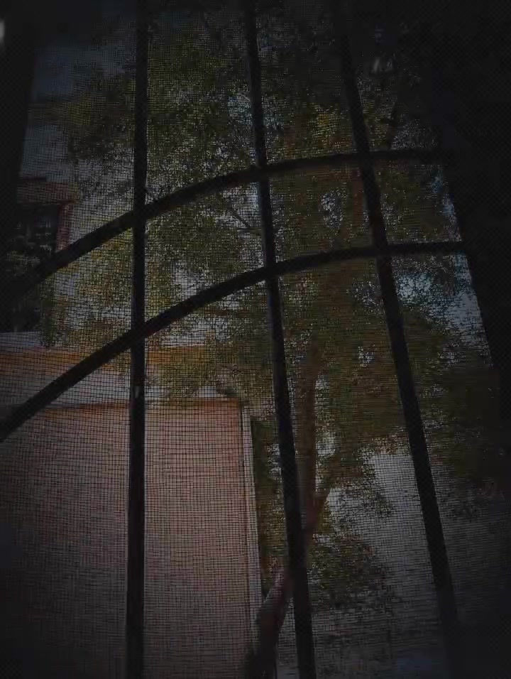@Laibayousufzai