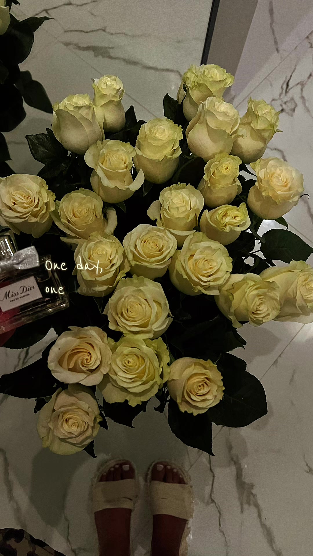@mnebezsahara17