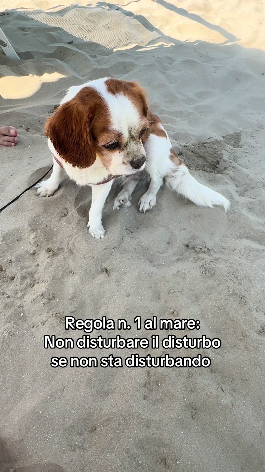 @Lucacrocco_