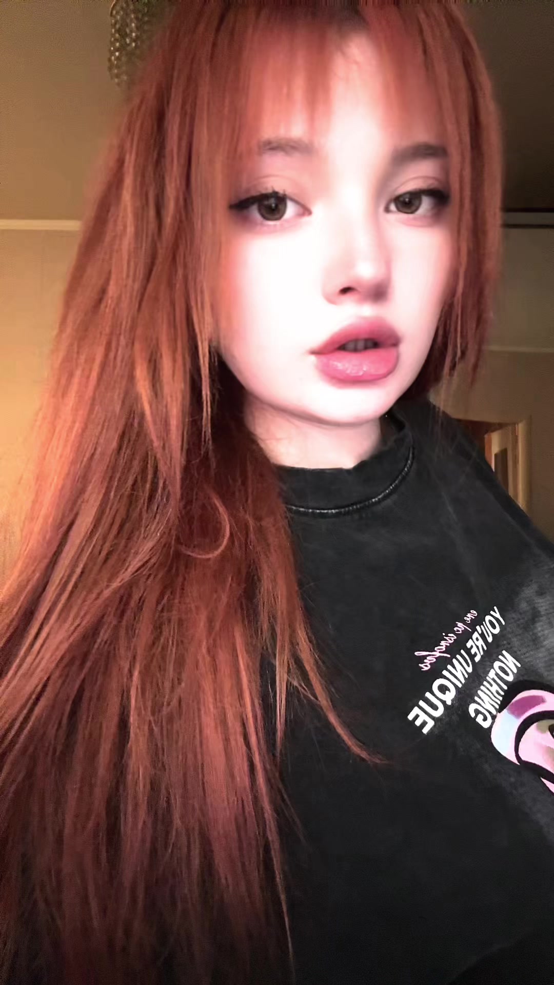 @Ginger Cat
