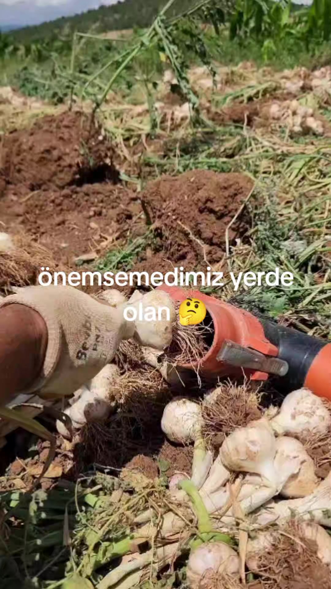 @mustafa Gül
