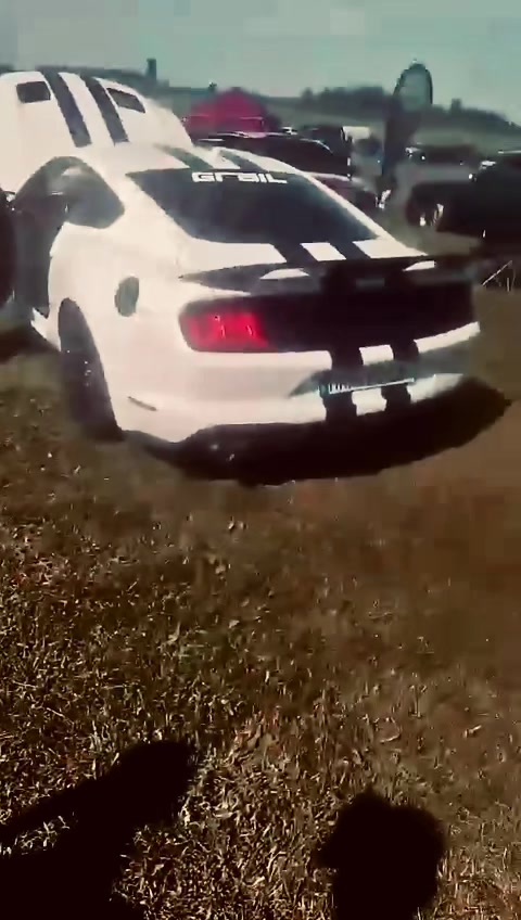 @Stang540