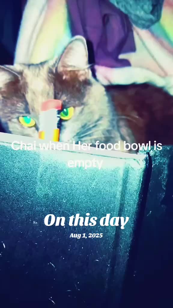 @Amy Lee