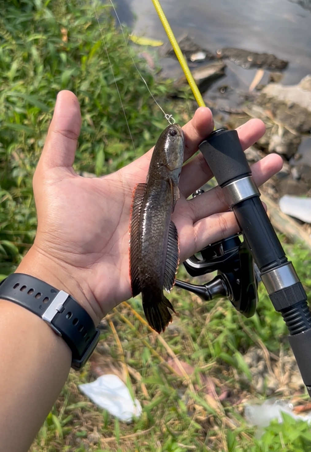 @Andalan Mancing