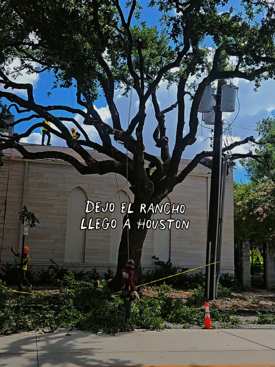 @GTS Galvan Tree Services LLC