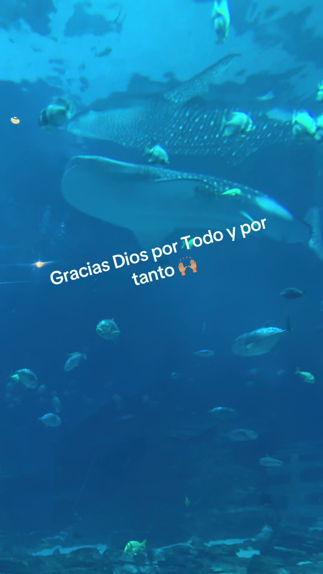 @RUBI .YOLO.TR