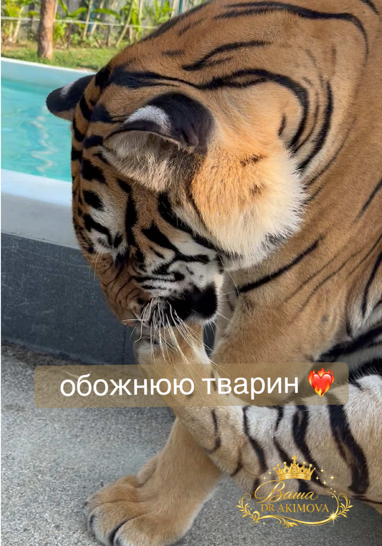 @doctor_akimova