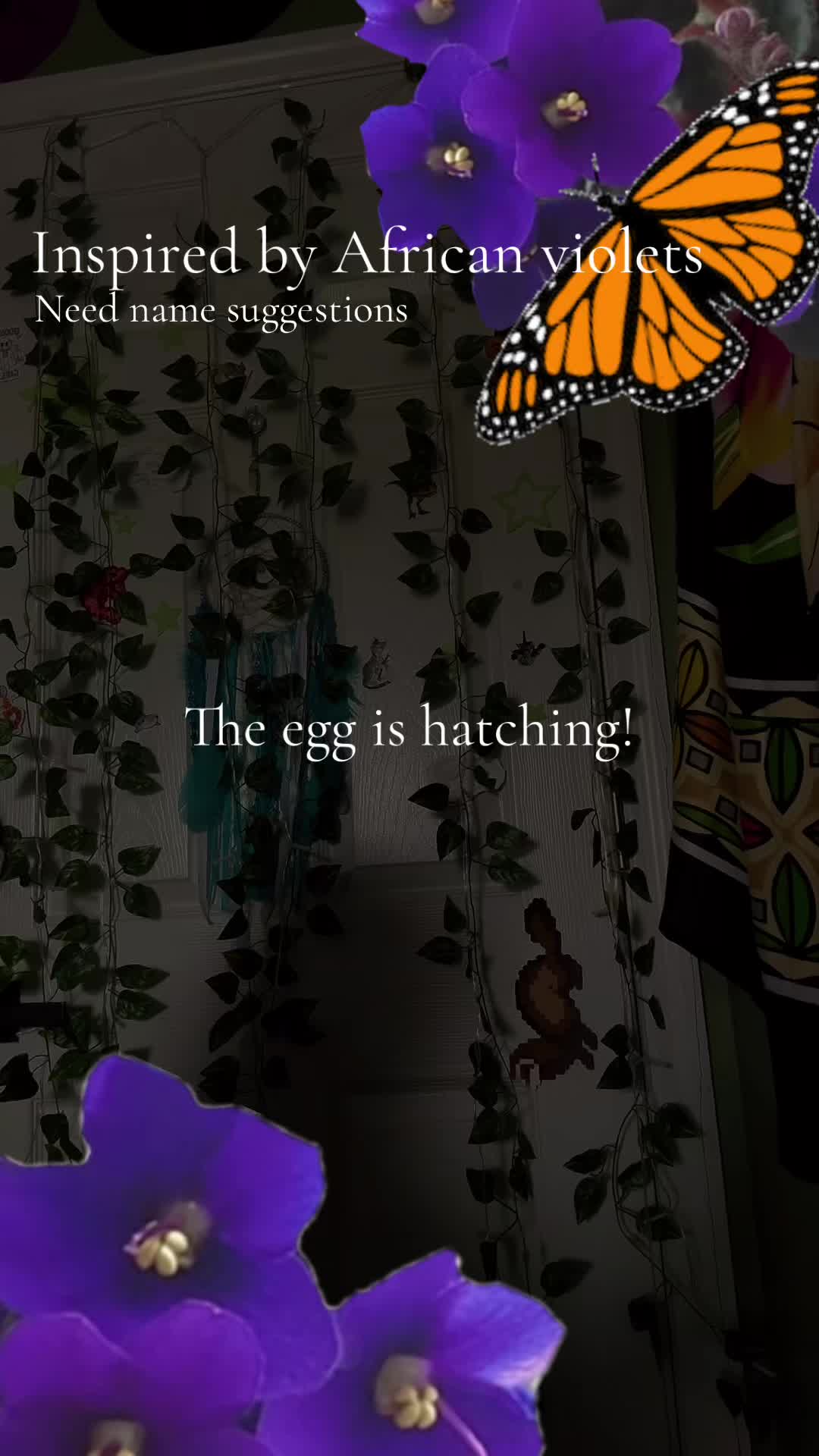 @✮ 🪲 вєєт1z._.в&nu;gz 🪲 ✮