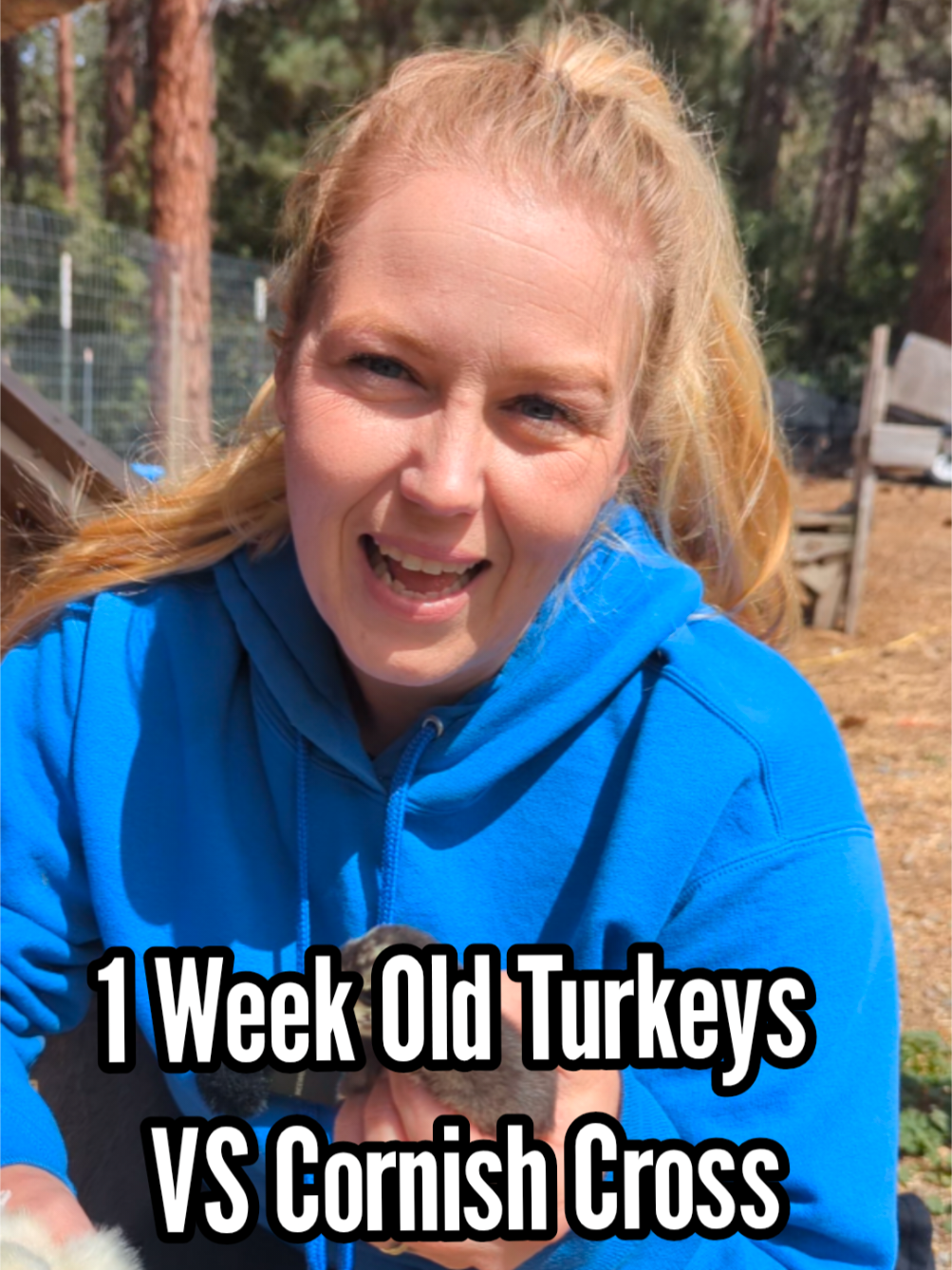 @MountainSpringHomestead