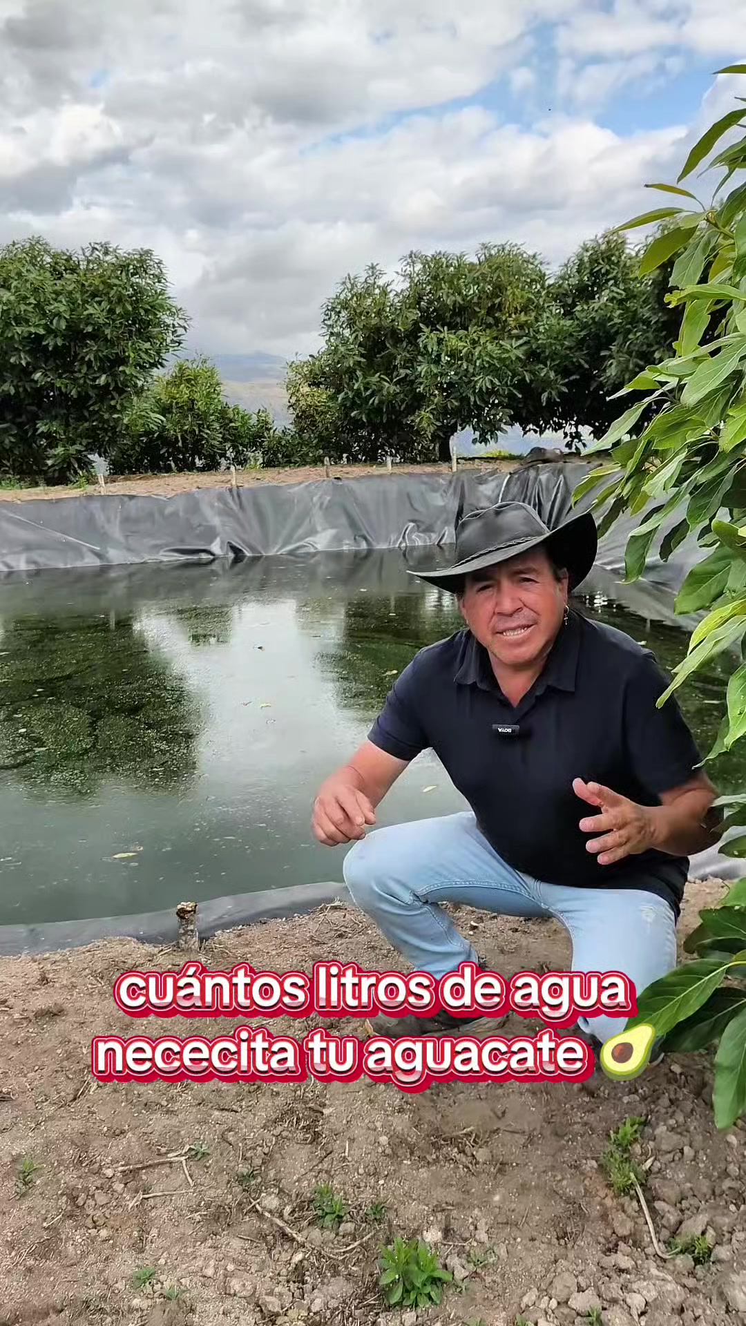 @tour del aguacate
