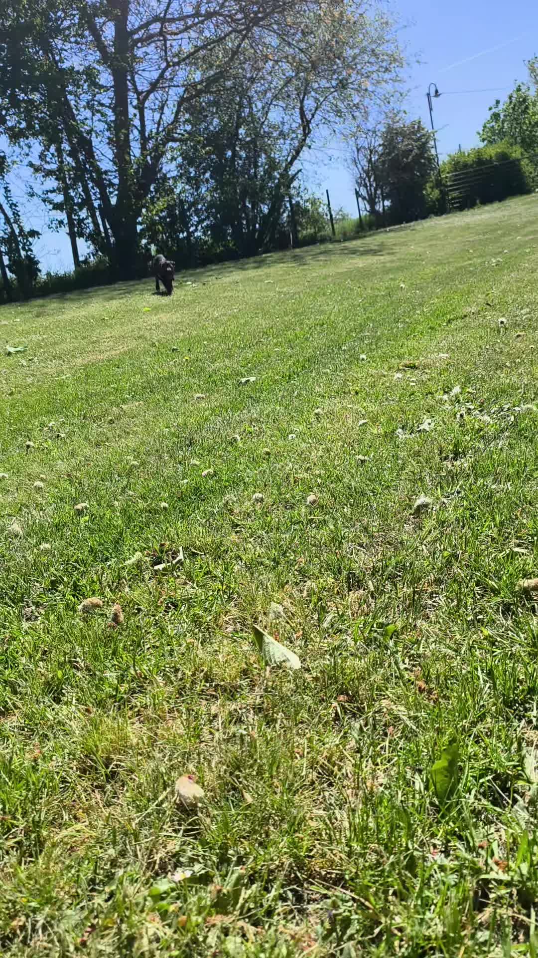 @Vani🦅🇩🇪
