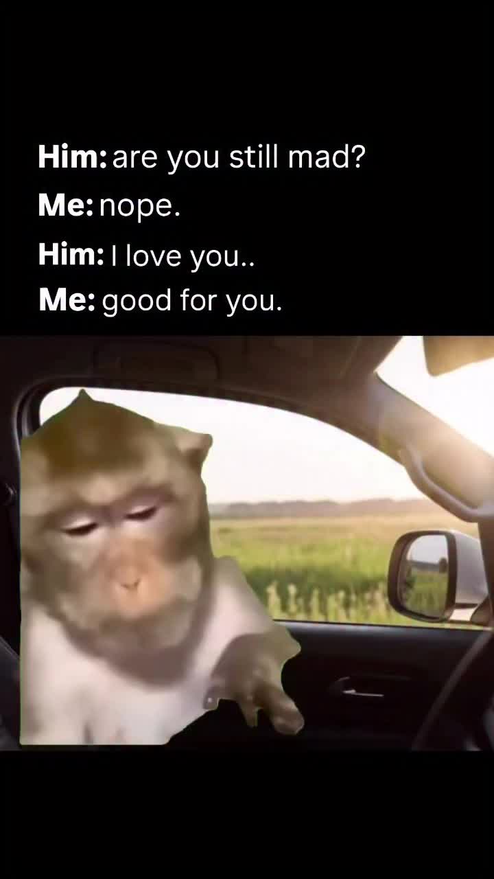 @๐ป๐๐๐๐ ๐ท๐๐๐๐ ๐น๐ฅ