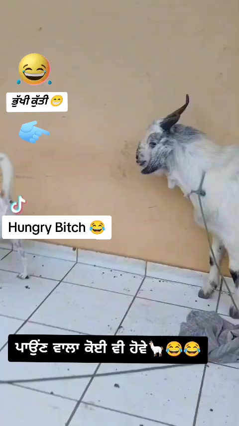 @𝐏𝐮𝐧𝐣𝐚𝐛𝐢 𝐒𝐭𝐚𝐭𝐮𝐬 ✍️