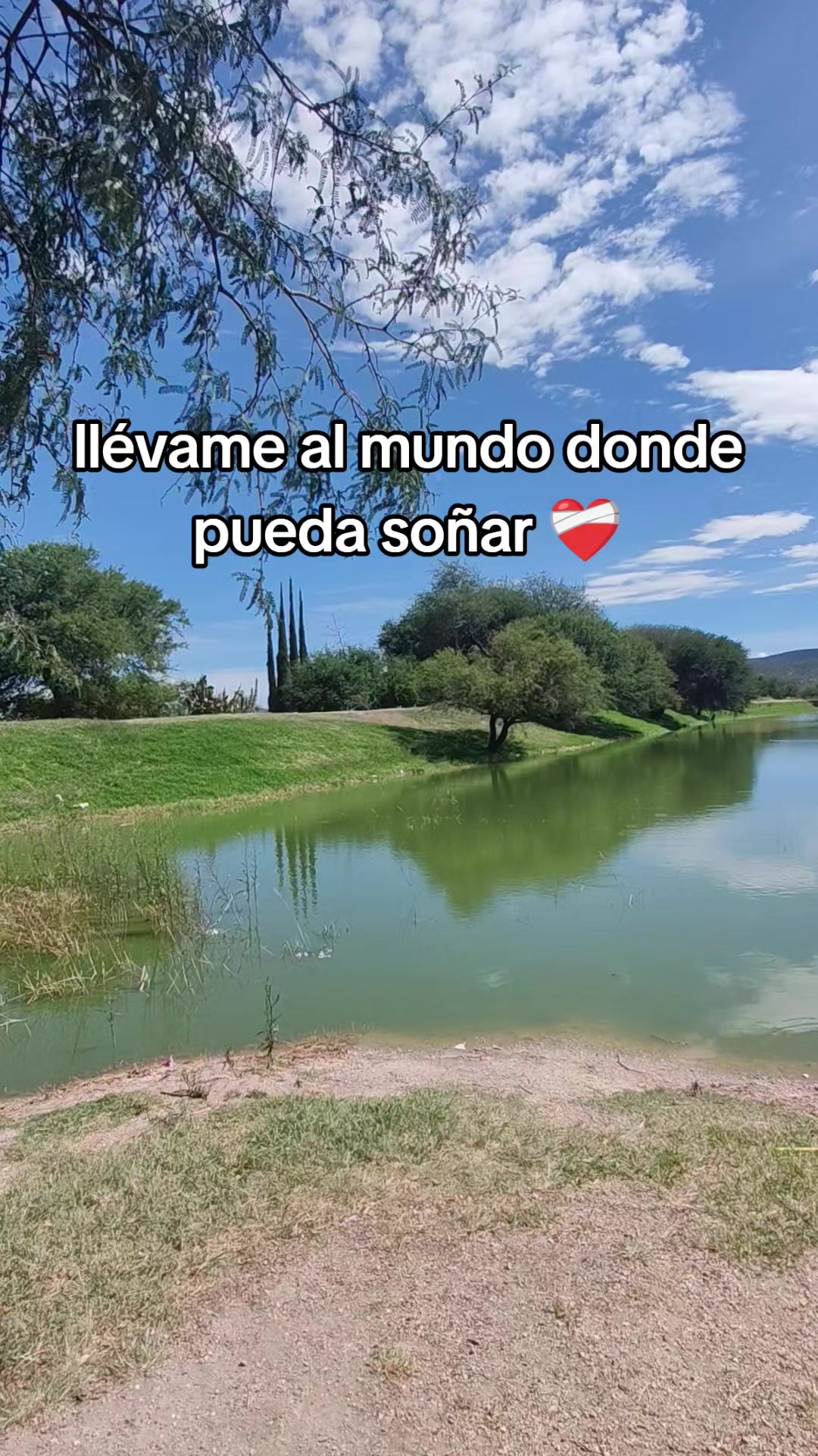 @Ana Hernandez Torres