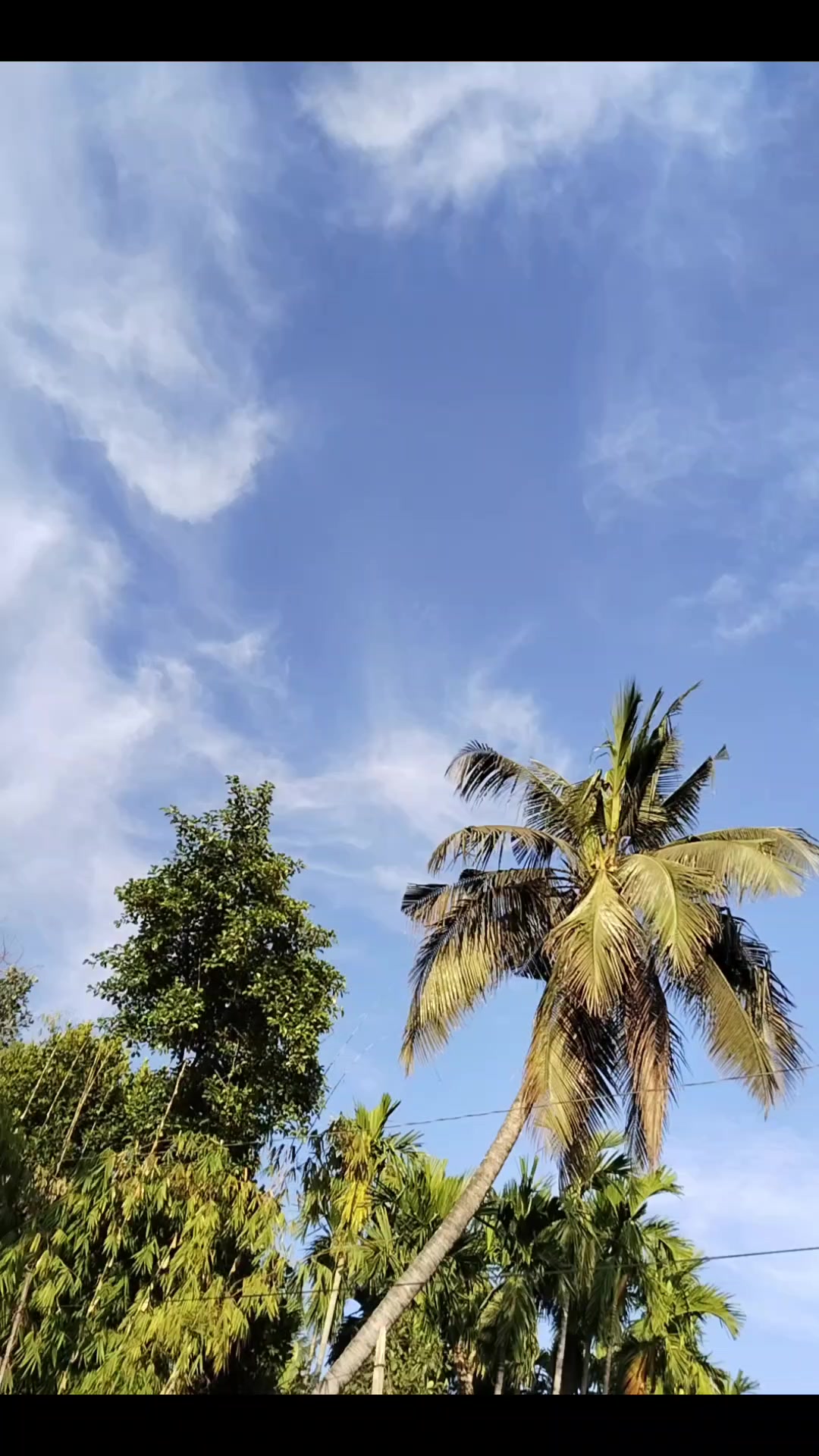 @🦋🦋দ্বীপান্বিতা🦋🦋