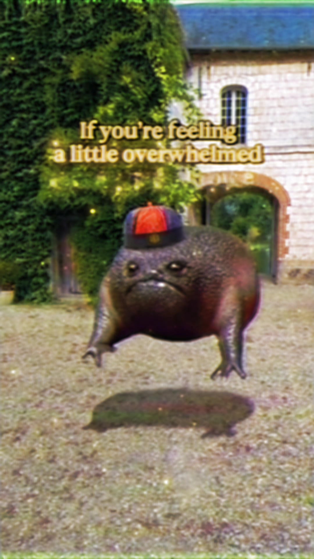 @Holy Frog Father