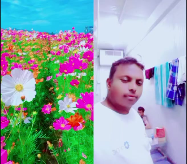@ramesh. sada