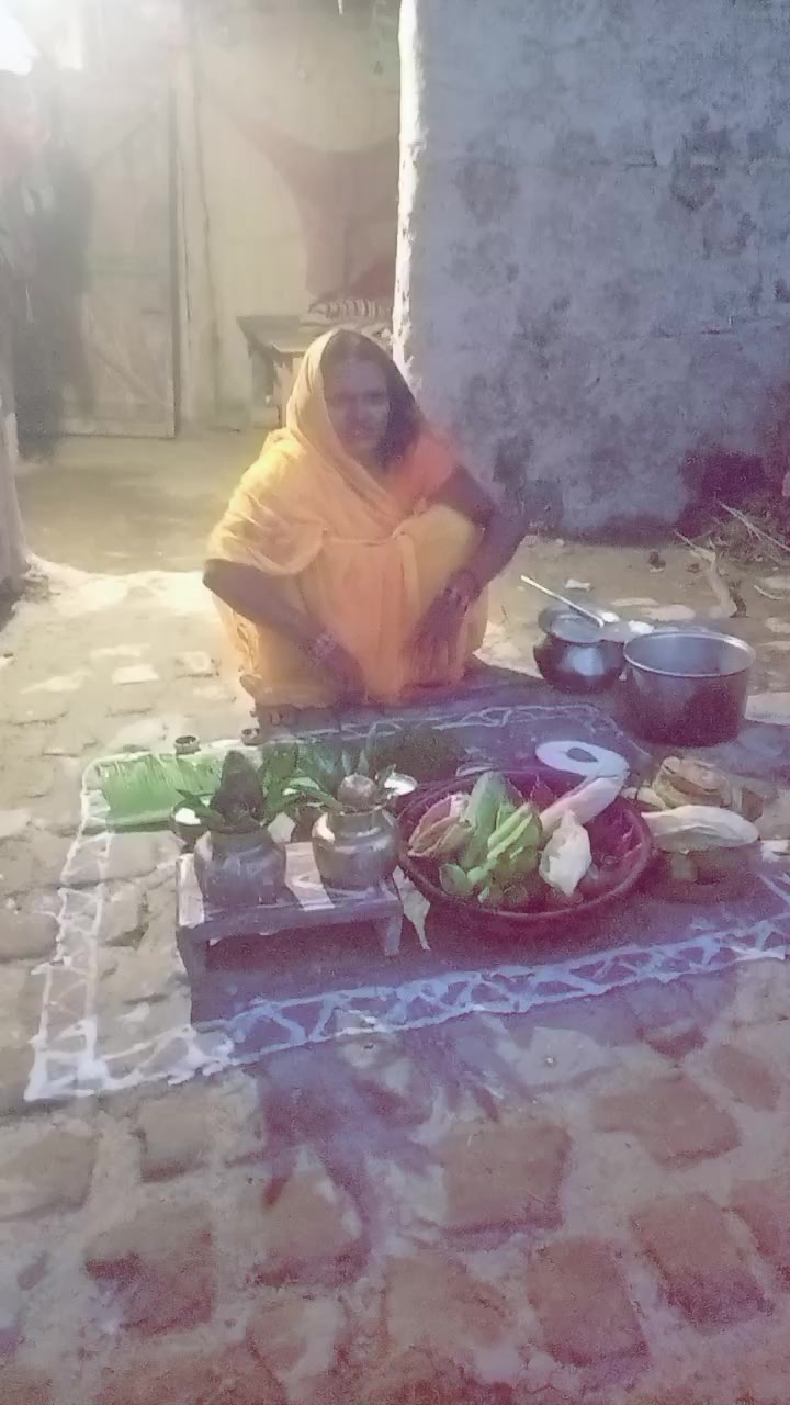 @Maya Sharma
