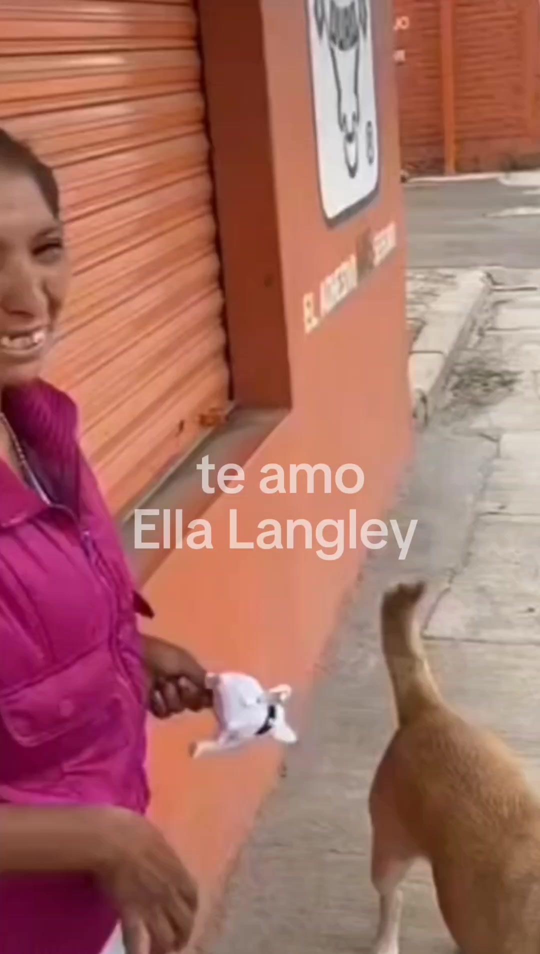 @brianmegamx