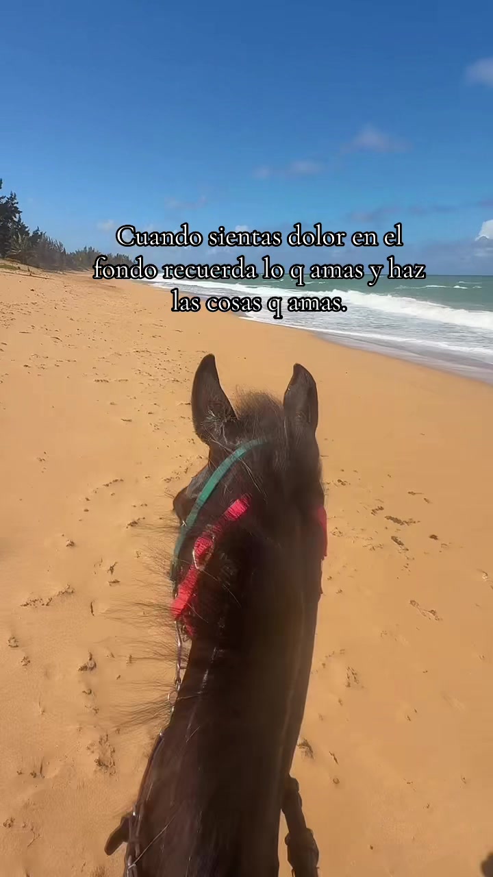 @Yany🇵🇷