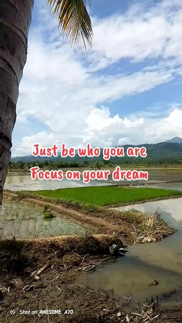 @Evelyn Cornetes