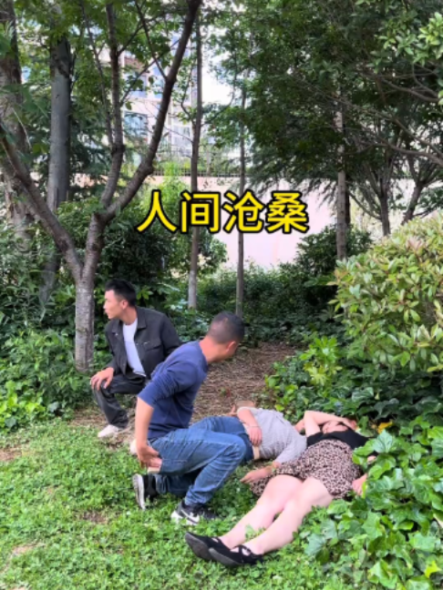 @zhang662916
