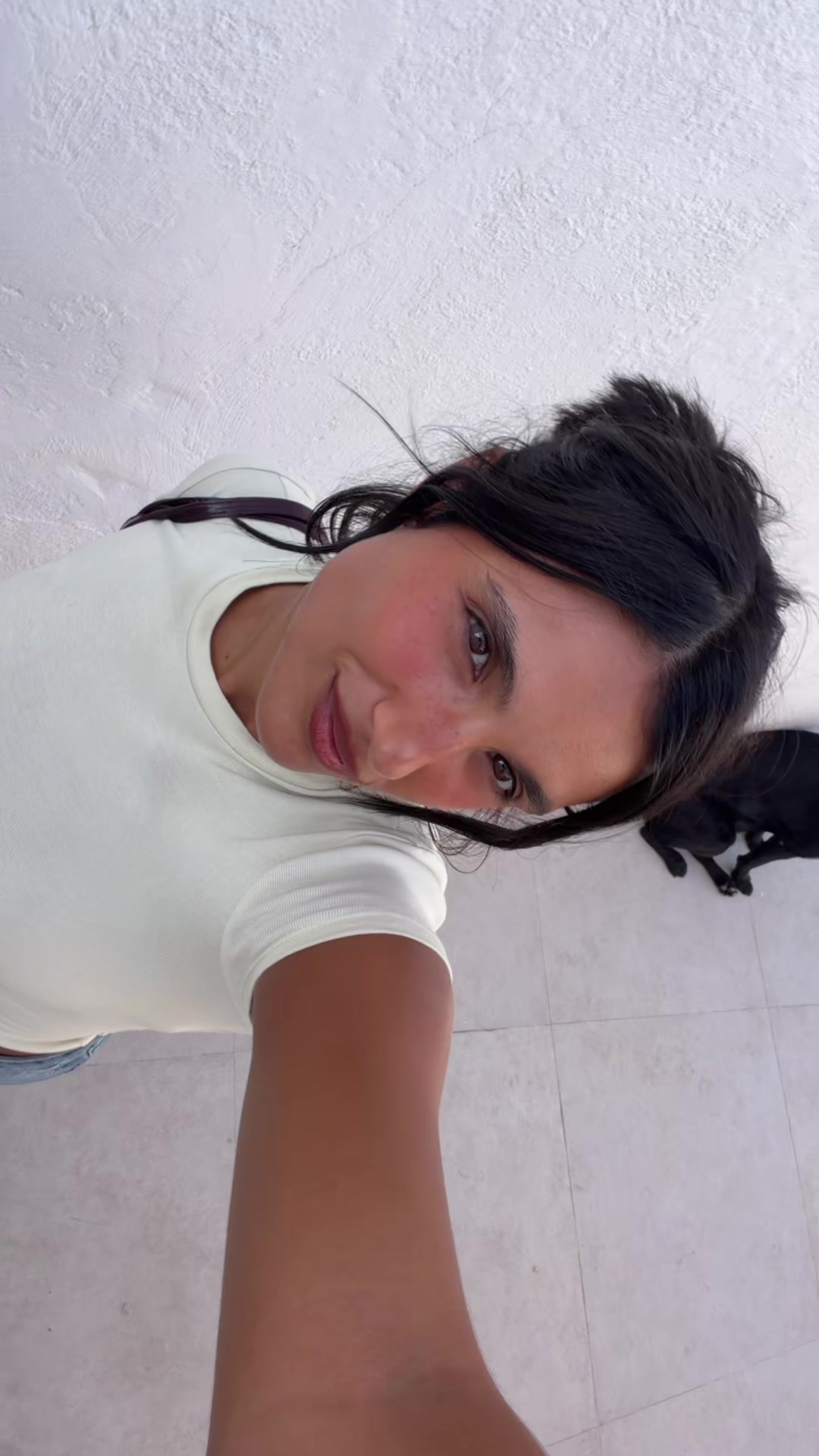 @inesseco