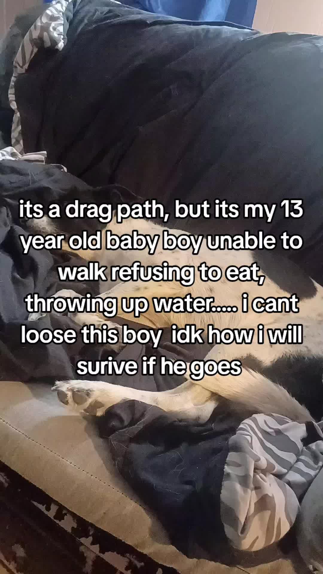 @rocksarecoolorsomeshit
