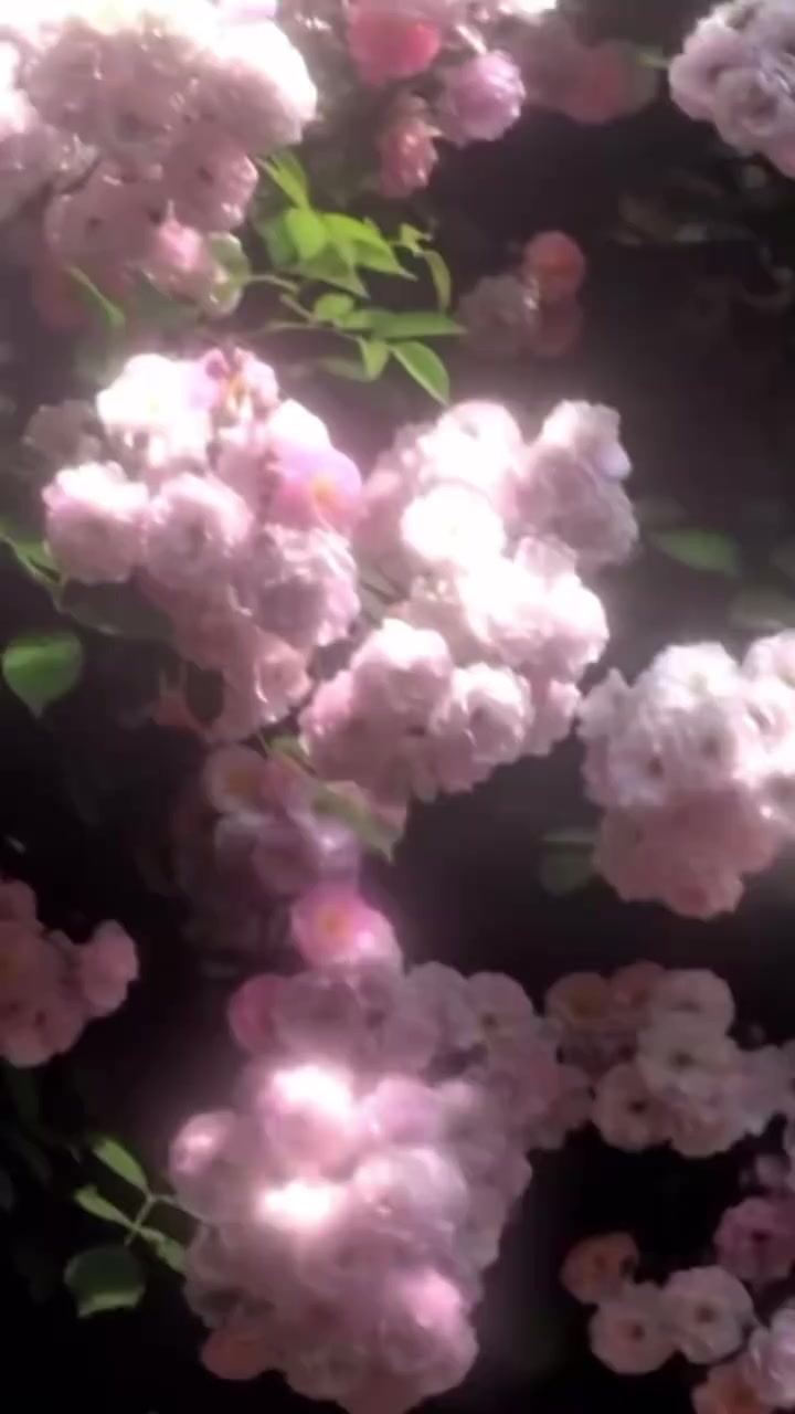@연우